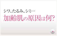 エターナルボーテ 加齢肌の原因は何?